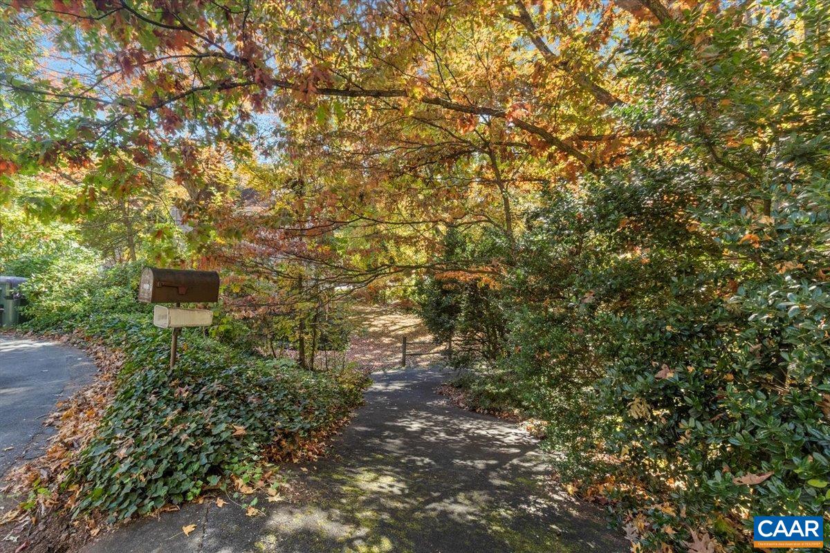 103 Vicar Court Charlottesville, VA 22901 - Photo 73 of 74 a view of a tree with a yard