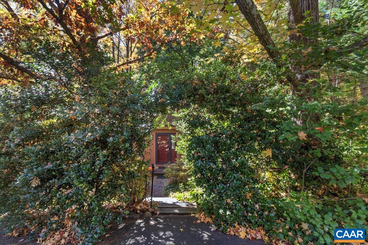 103 Vicar Court Charlottesville, VA 22901 - Photo 74 of 74 a view of a wooden wall with a tree