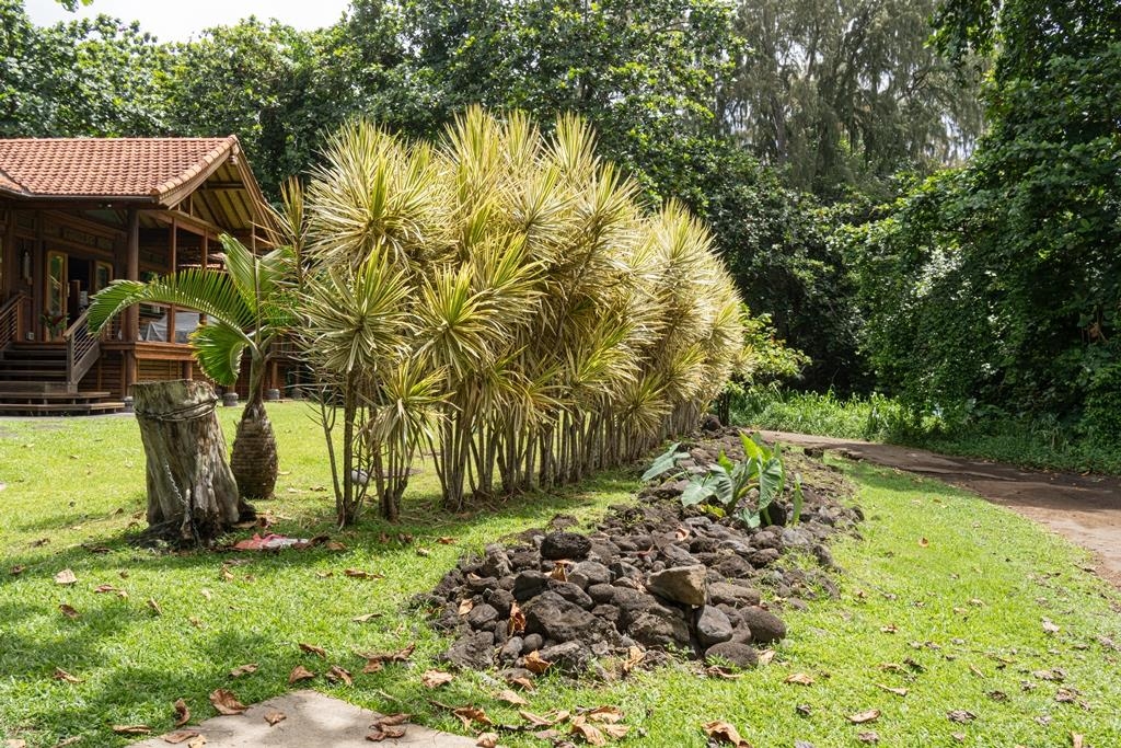 165 Waikoloa Road Hana, HI 96713 - Photo 46 of 50