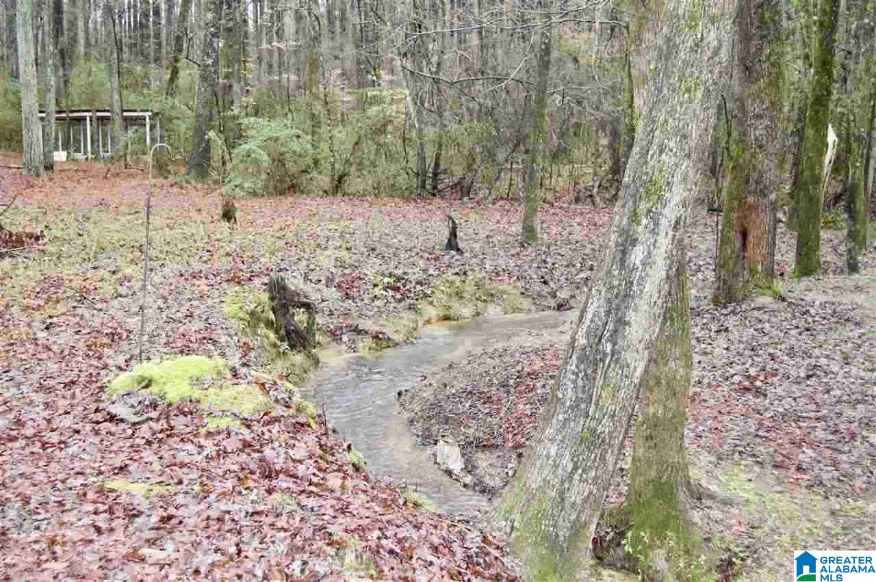 689 Rocky Ridge Road Dora, AL 35062 - Photo 8 of 29