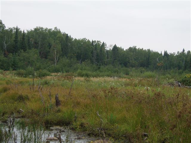 Xxxx Beaver River Road Silver Bay, MN 55614 - Photo 1 of 5 Gallery Image 1