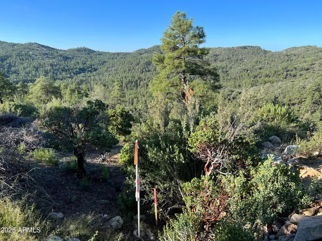 $45,000 | Xx East Xx E Privateer Road, Crown King, AZ 86343