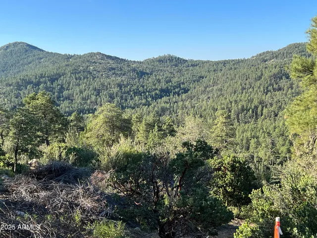 $45,000 | Xx East Xx E Privateer Road, Crown King, AZ 86343