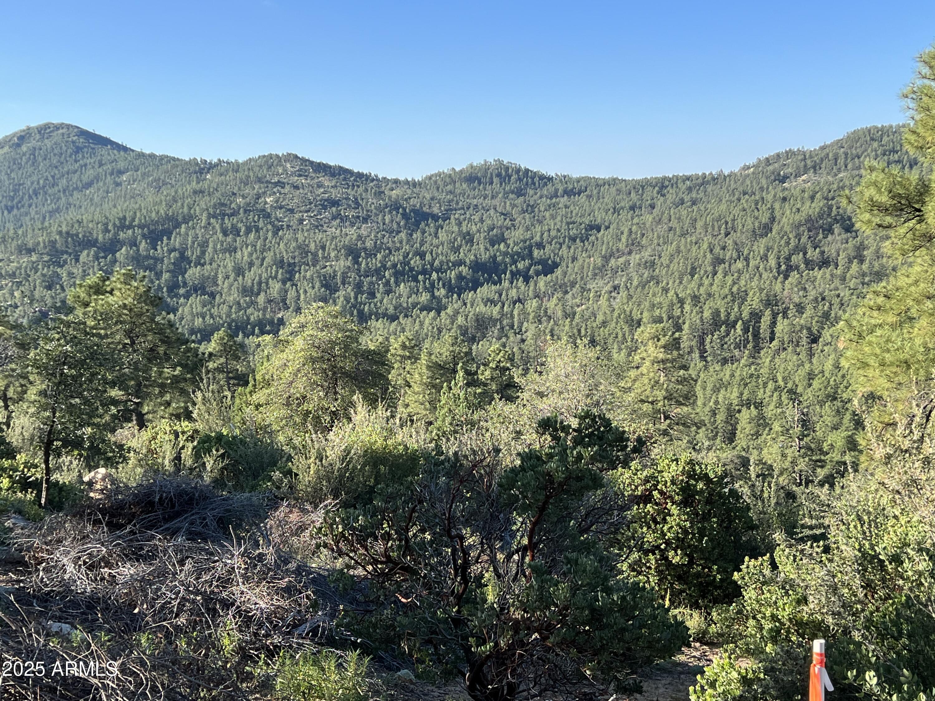 Xx East Xx E Privateer Road Crown King, AZ 86343 - Photo 11 of 15 Gorgeous Parcel with year round access