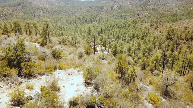 $45,000 | Xx East Xx E Privateer Road, Crown King, AZ 86343