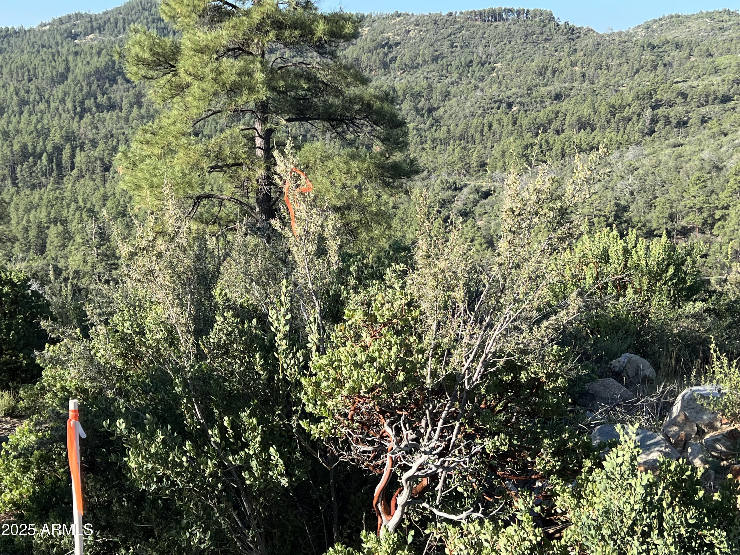 Xx East Xx E Privateer Road Crown King, AZ 86343 - Photo 13 of 15 northeast corner of property