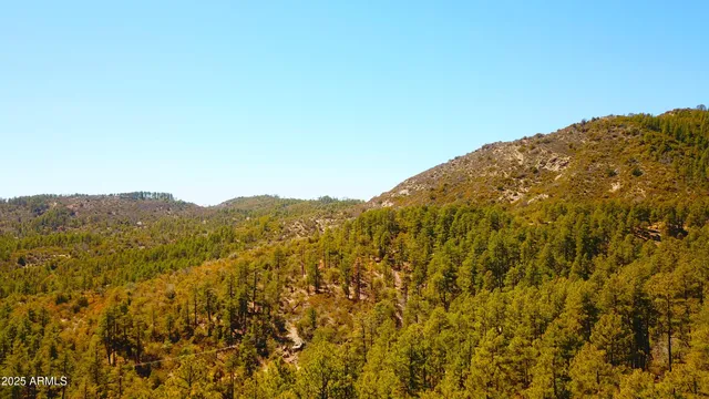 $45,000 | Xx East Xx E Privateer Road, Crown King, AZ 86343