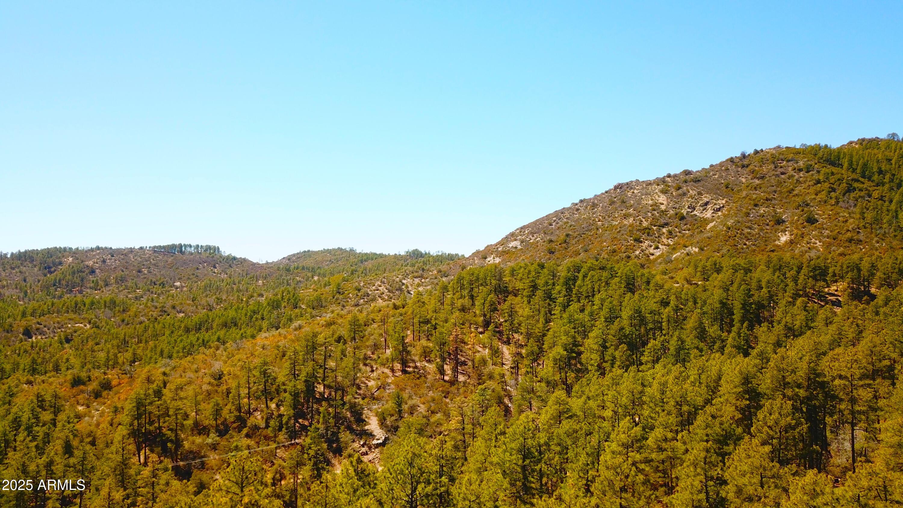 Xx East Xx E Privateer Road Crown King, AZ 86343 - Photo 15 of 15 views looking south'