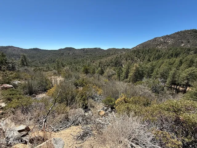 $45,000 | Xx East Xx E Privateer Road, Crown King, AZ 86343