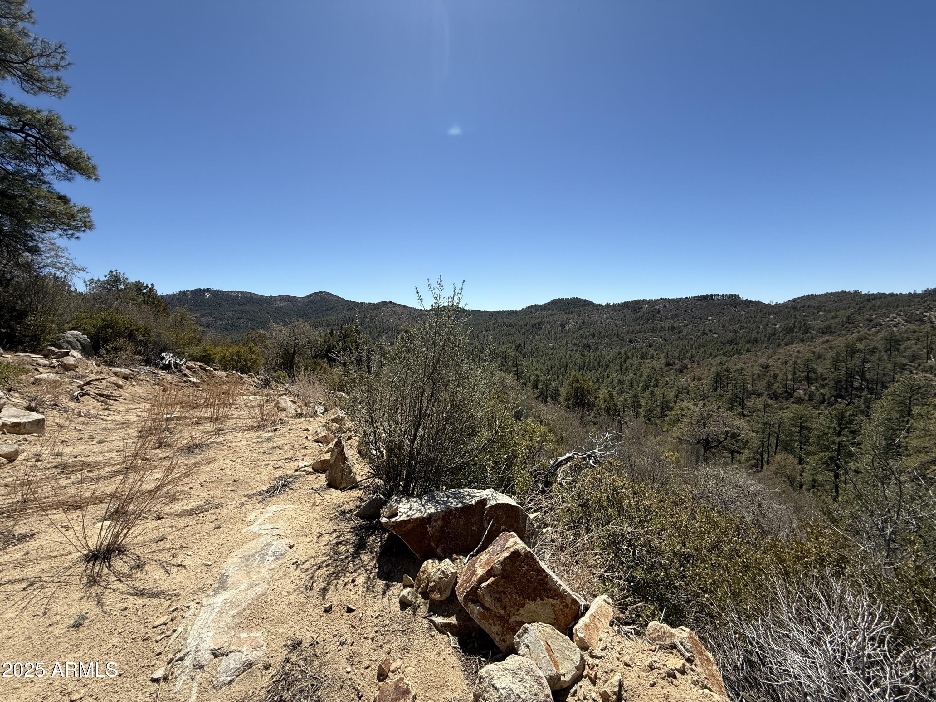 Xx East Xx E Privateer Road Crown King, AZ 86343 - Photo 3 of 15 Views from the driveway