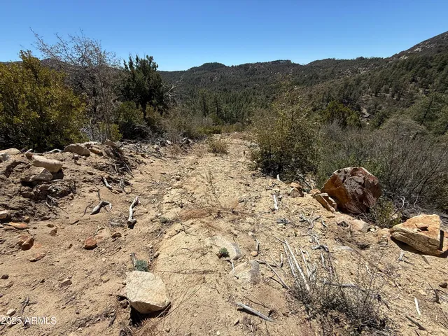 $45,000 | Xx East Xx E Privateer Road, Crown King, AZ 86343