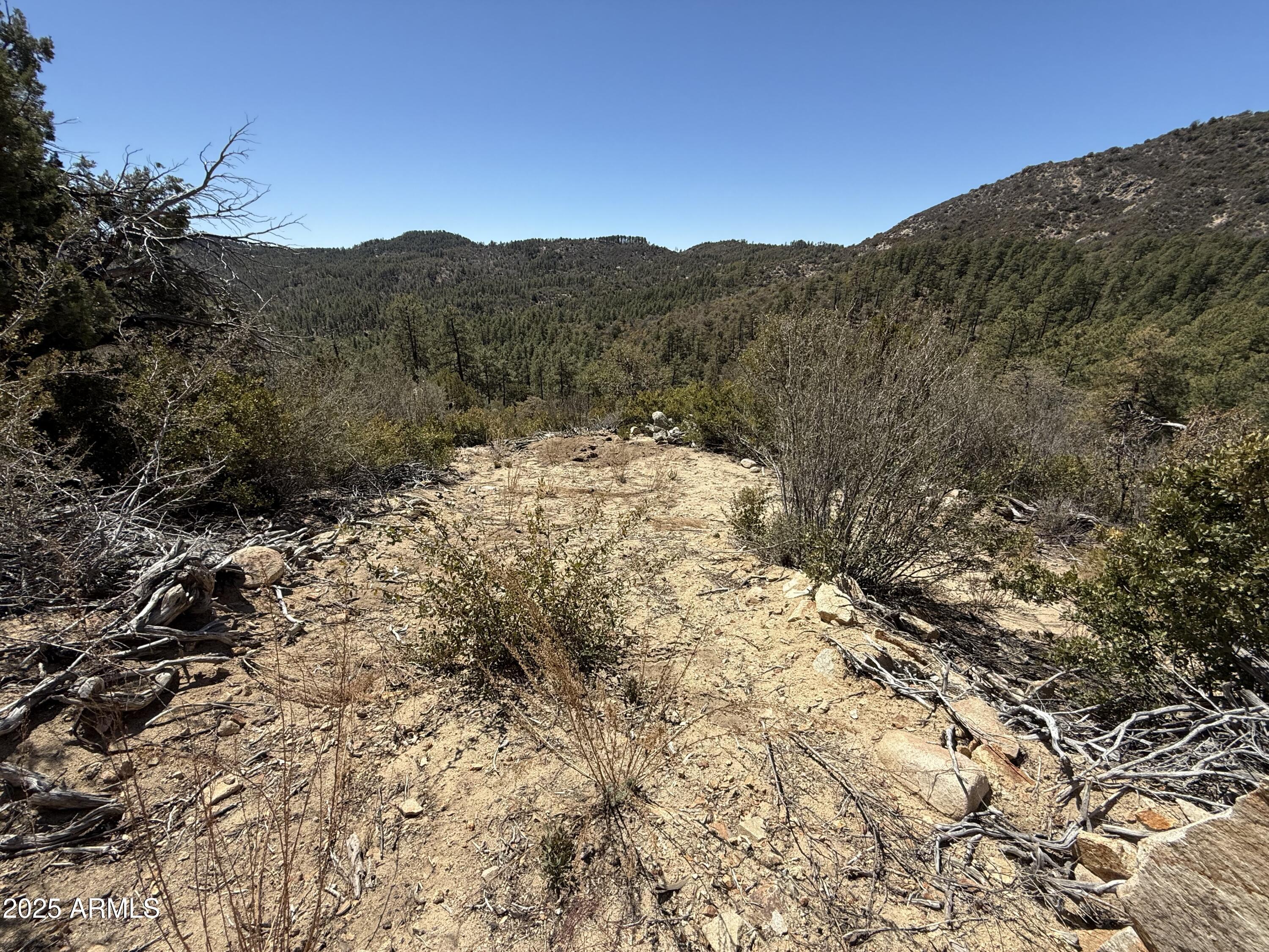 Xx East Xx E Privateer Road Crown King, AZ 86343 - Photo 5 of 15 Driveway to pad