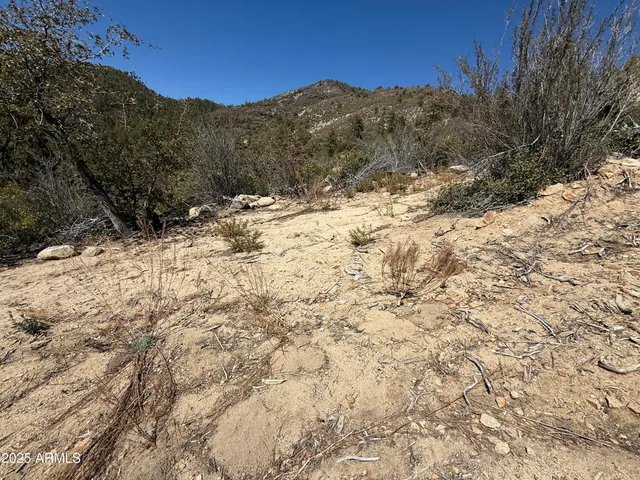 $45,000 | Xx East Xx E Privateer Road, Crown King, AZ 86343