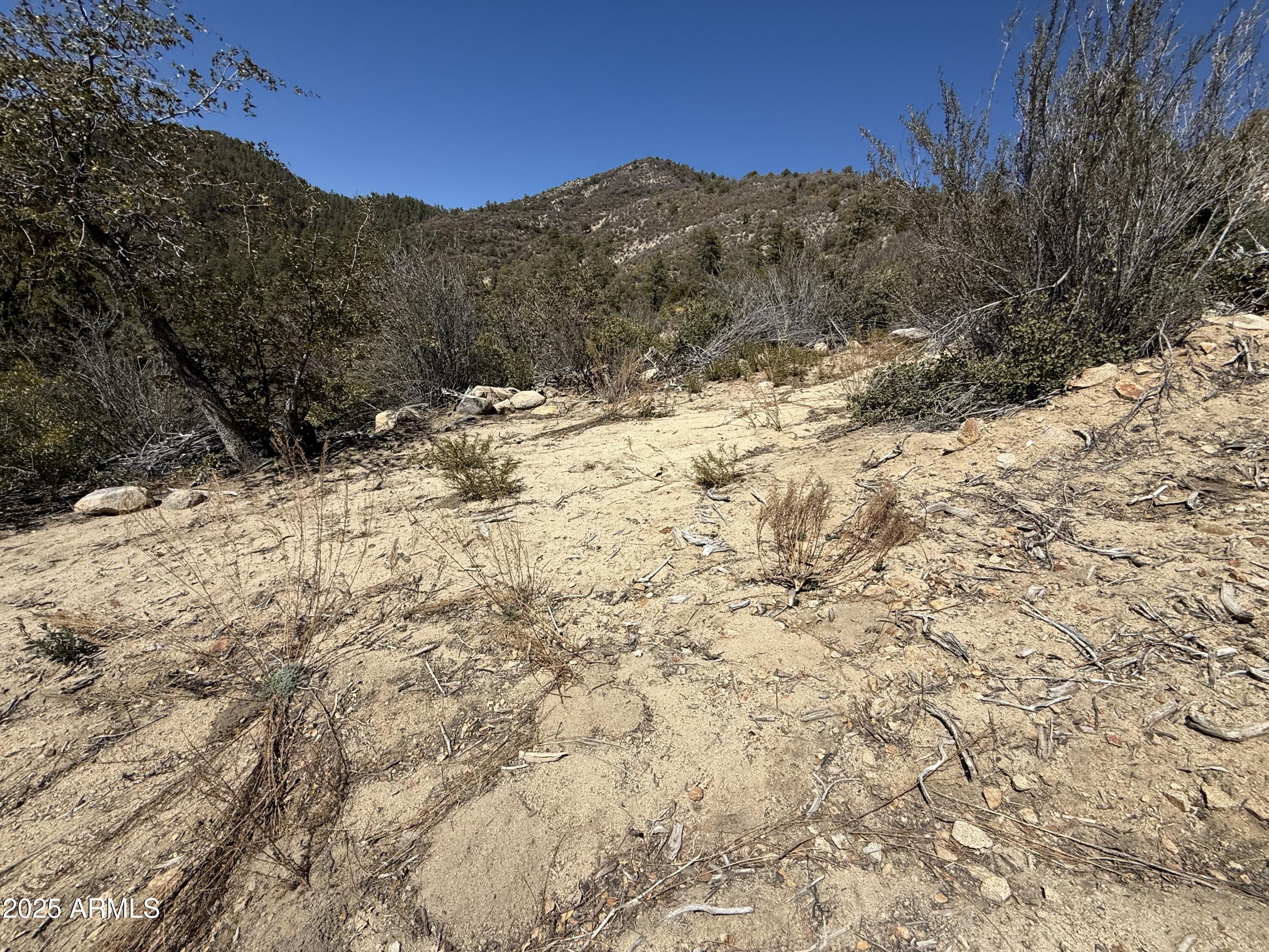 Xx East Xx E Privateer Road Crown King, AZ 86343 - Photo 6 of 15 Pad