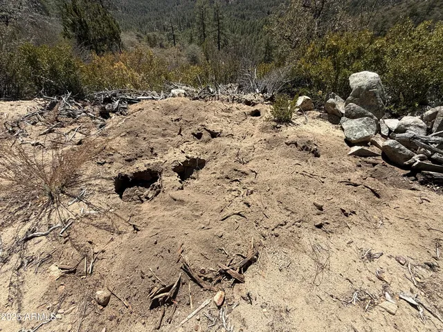 $45,000 | Xx East Xx E Privateer Road, Crown King, AZ 86343