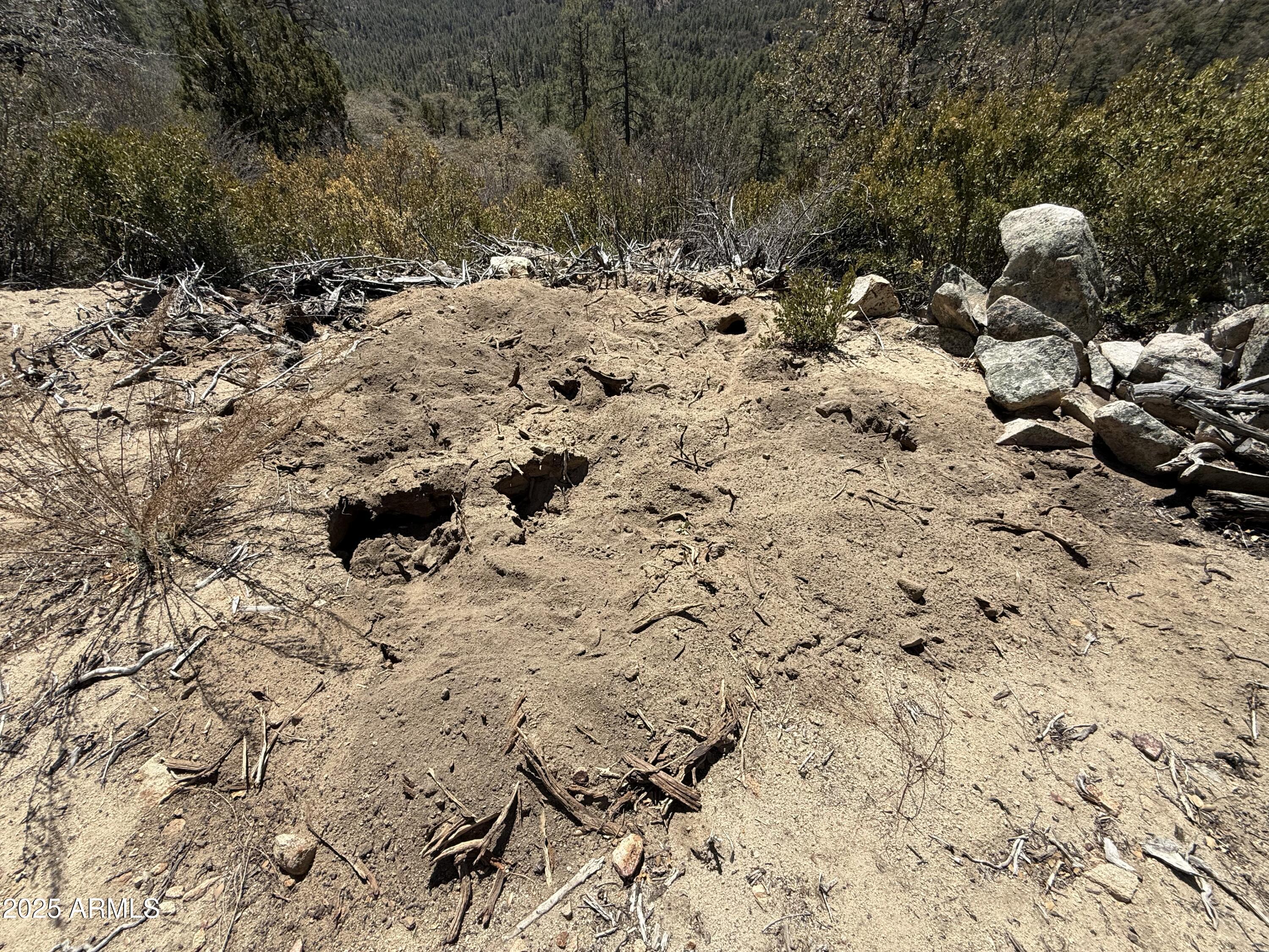 Xx East Xx E Privateer Road Crown King, AZ 86343 - Photo 7 of 15 Pad