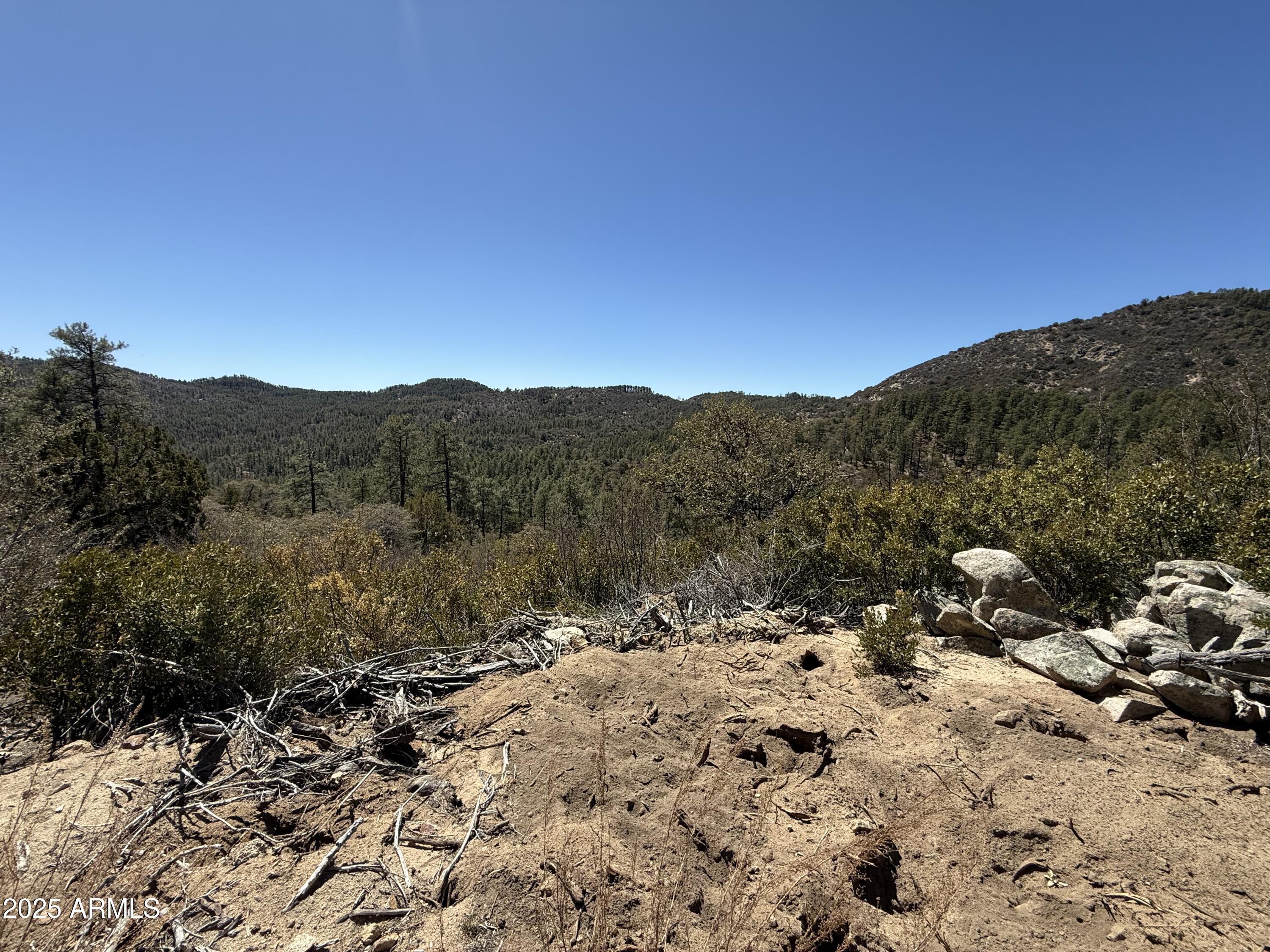 Xx East Xx E Privateer Road Crown King, AZ 86343 - Photo 8 of 15 Mountain views