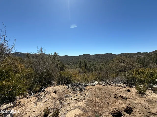 $45,000 | Xx East Xx E Privateer Road, Crown King, AZ 86343