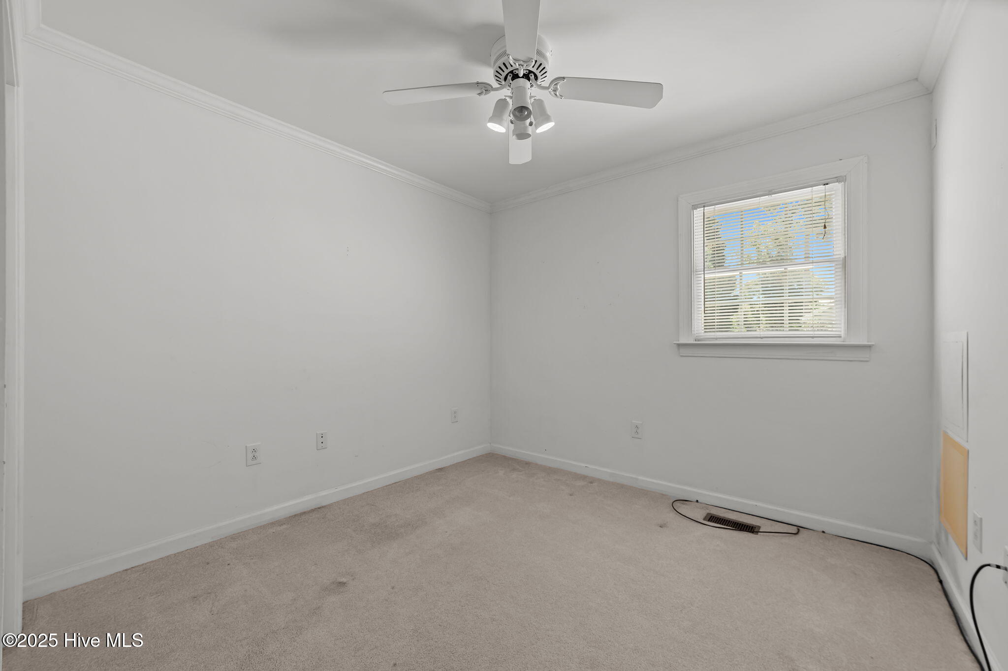 4205 West Prince Road Farmville, NC 27828 - Photo 36 of 48 1000059096