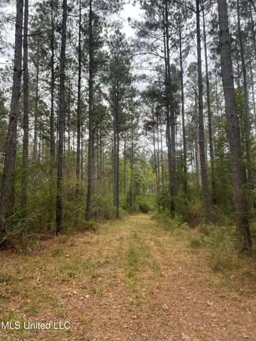 $294,000 | Enon Sartinville Road, Jayess, MS 39641