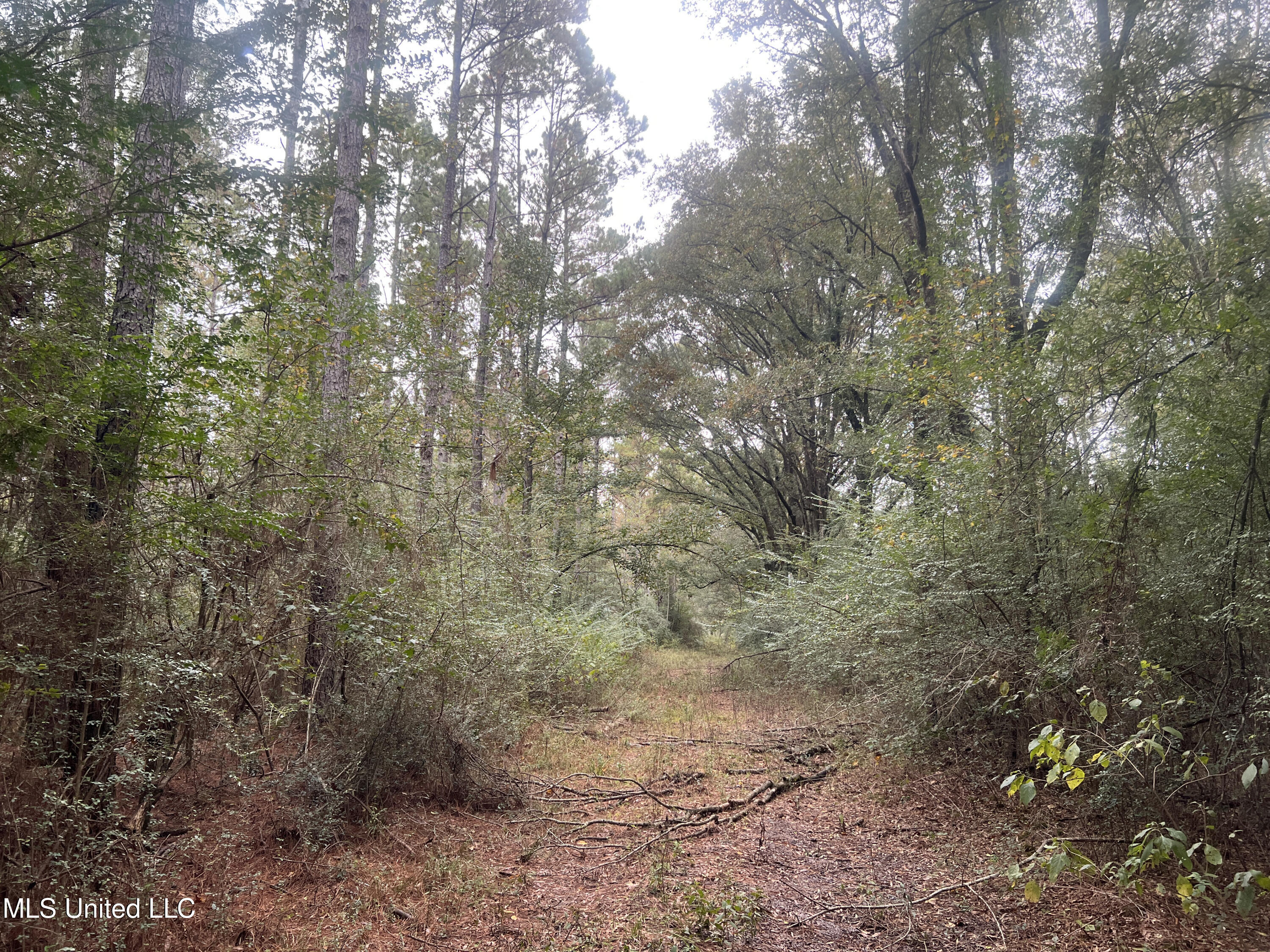 Enon Sartinville Road Jayess, MS 39641 - Photo 11 of 18 11.