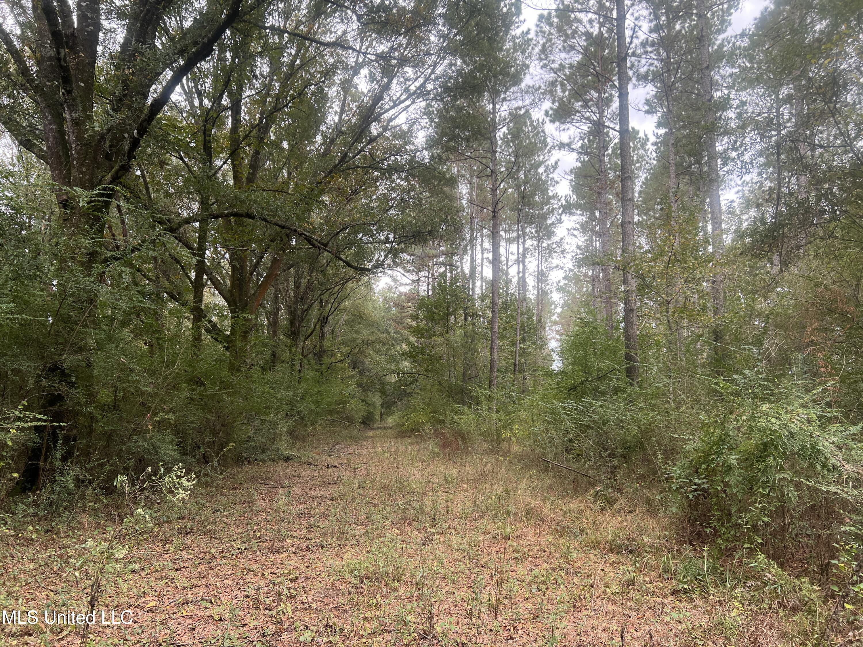 Enon Sartinville Road Jayess, MS 39641 - Photo 13 of 18 13.