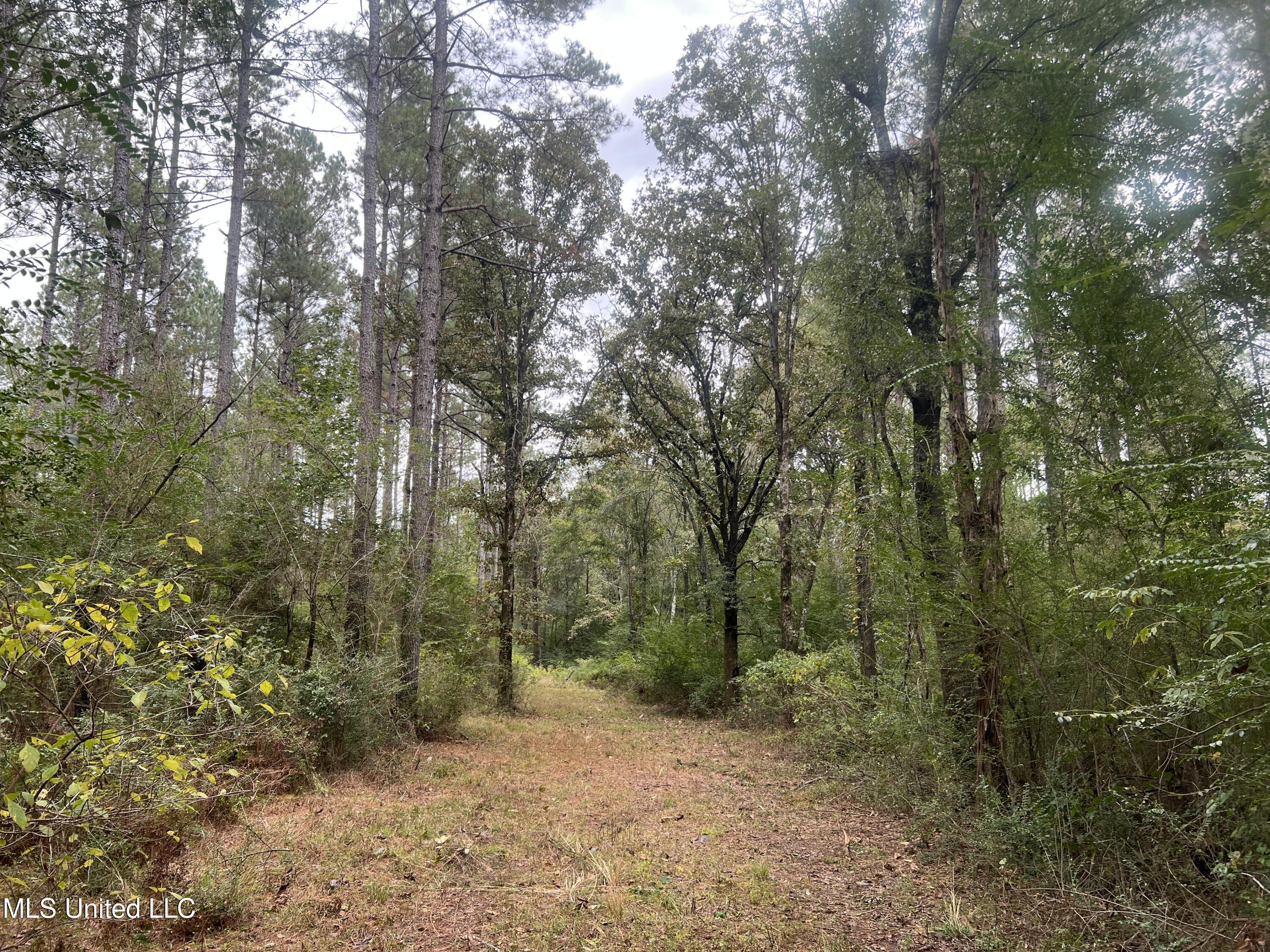 Enon Sartinville Road Jayess, MS 39641 - Photo 2 of 18 2.