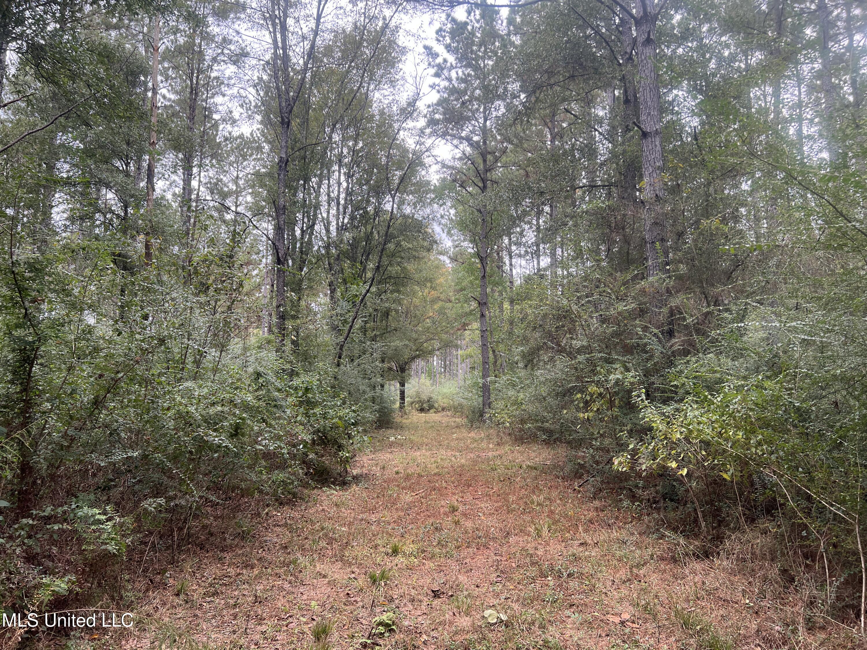 Enon Sartinville Road Jayess, MS 39641 - Photo 3 of 18 3.