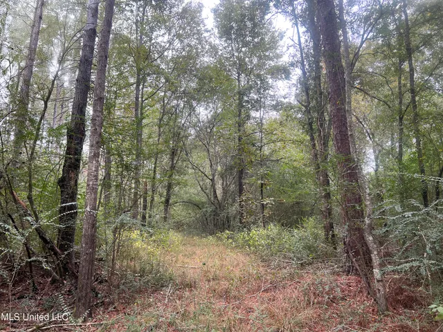 $294,000 | Enon Sartinville Road, Jayess, MS 39641