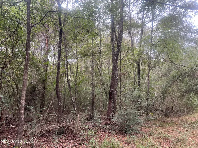 $294,000 | Enon Sartinville Road, Jayess, MS 39641