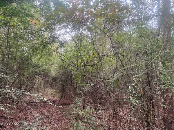 $294,000 | Enon Sartinville Road, Jayess, MS 39641
