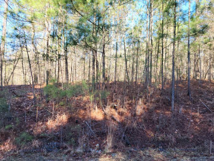 Lot E-25 Pine Ridge Way Salem, SC 29676 - Photo 1 of 4