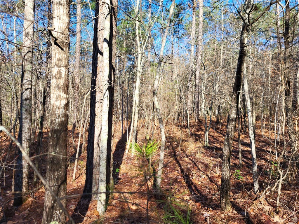 Lot E-25 Pine Ridge Way Salem, SC 29676 - Photo 2 of 4