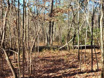 $20,000 | Lot E-25 Pine Ridge Way, Salem, SC 29676