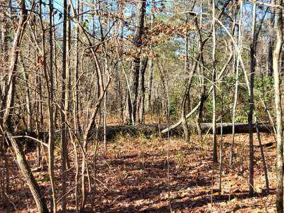 Lot E-25 Pine Ridge Way Salem, SC 29676 - Photo 3 of 4