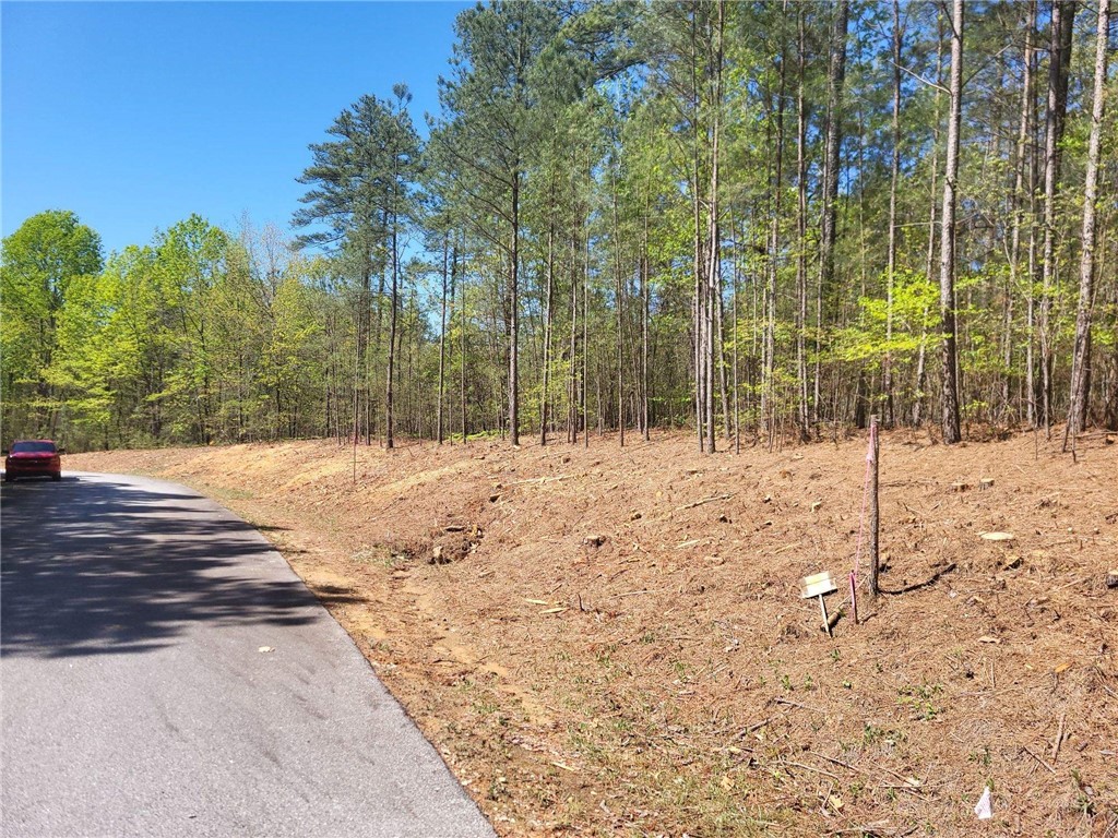 Lot E-25 Pine Ridge Way Salem, SC 29676 - Photo 4 of 4