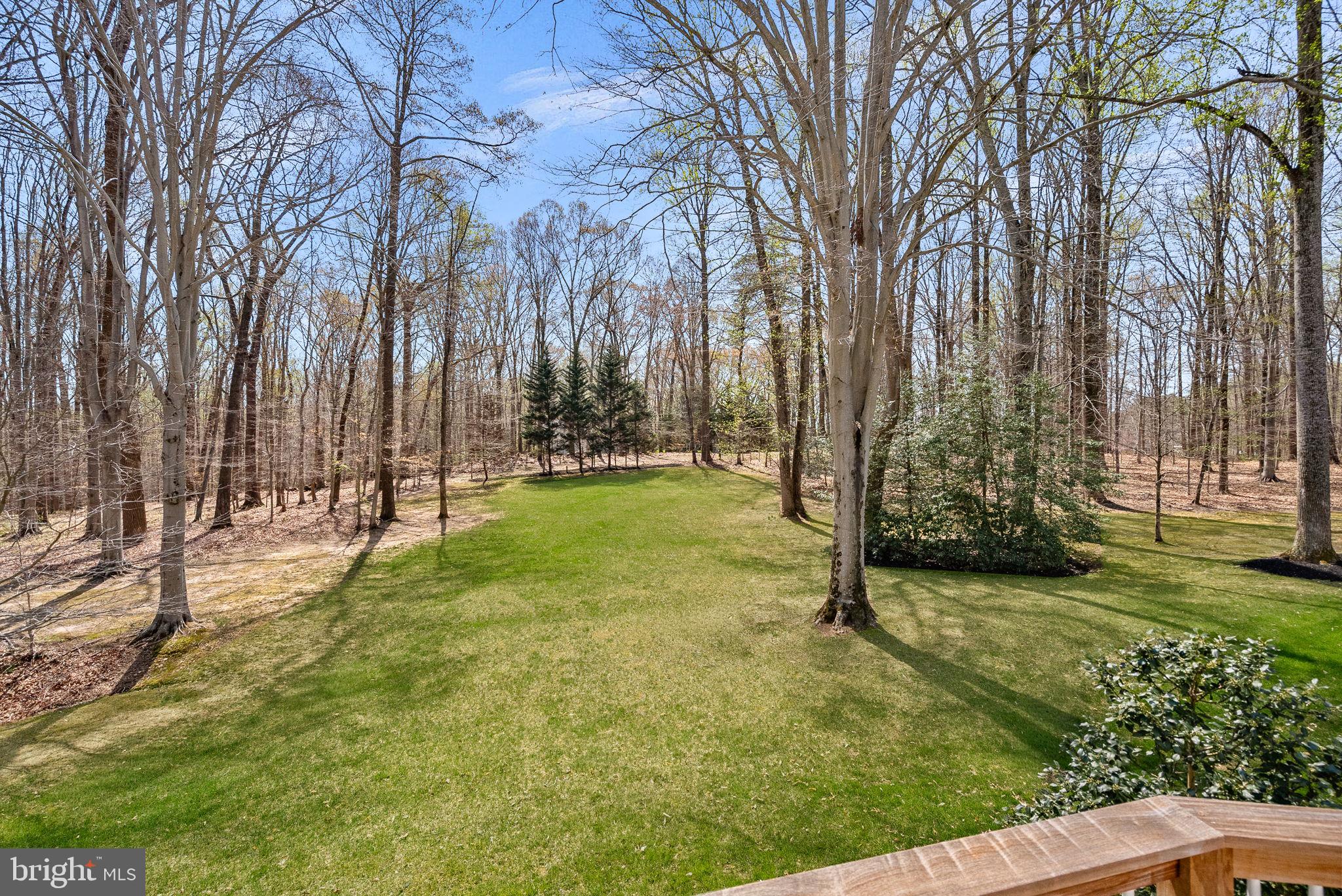 11913 Chapel Road Clifton, VA 20124 - Photo 50 of 124 a view of backyard with tree
