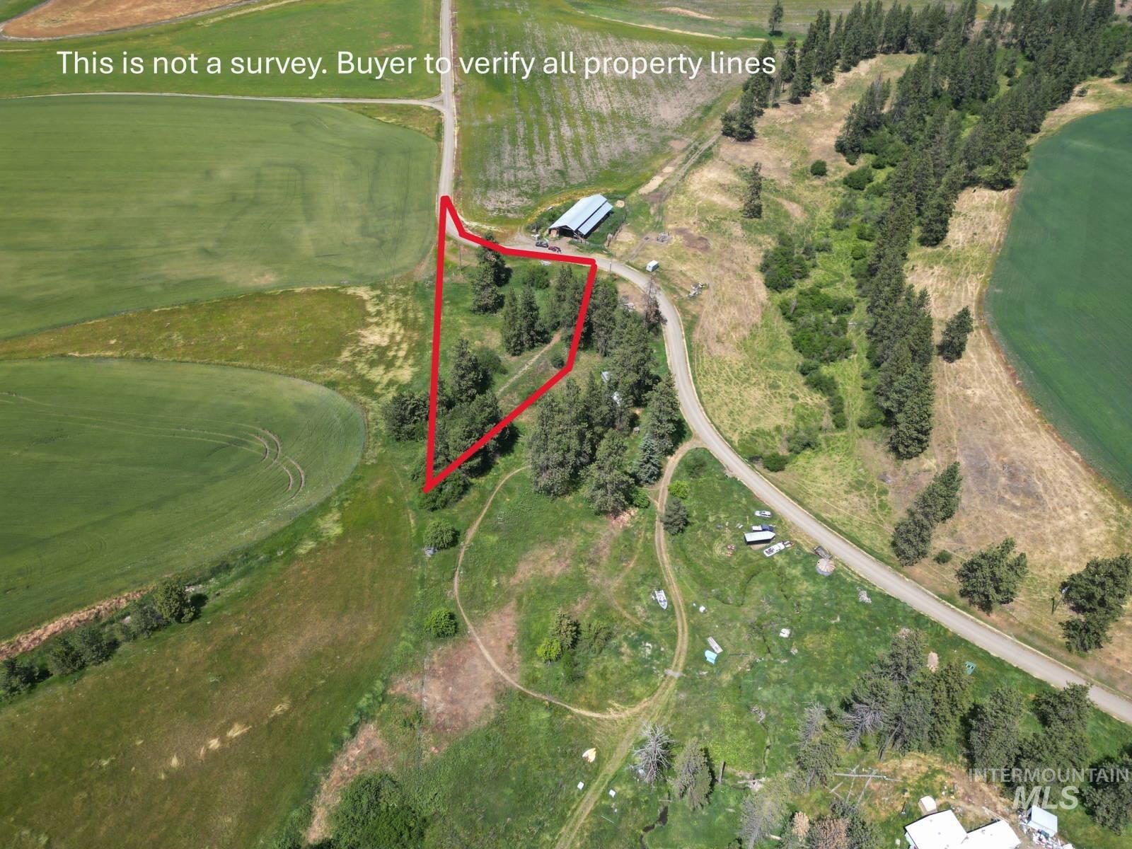 Lot 1 Herrick Road Craigmont, ID 83523 - Photo 3 of 5
