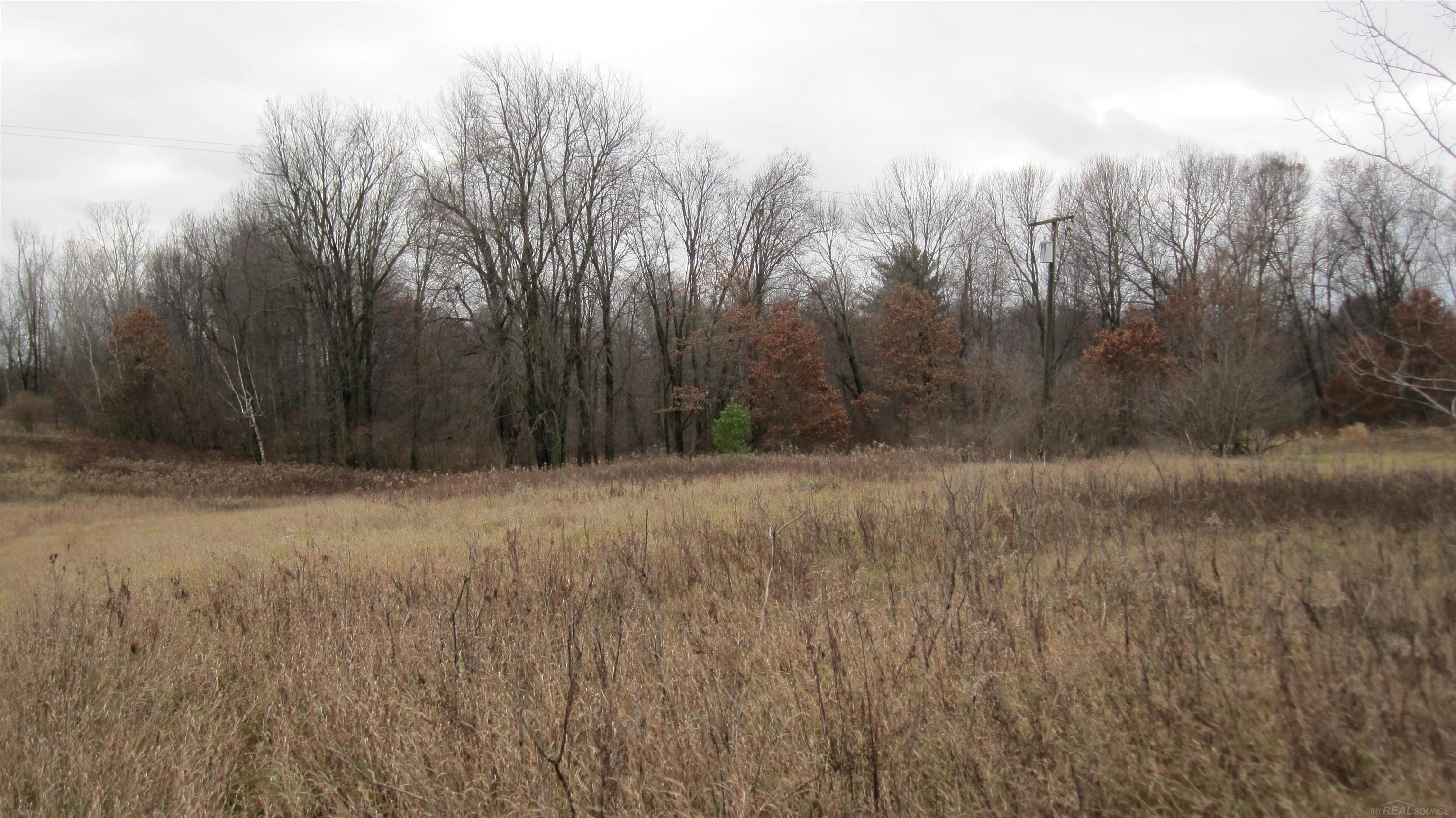 0 Oak Grove Road North Branch, MI 48461 - Photo 13 of 16