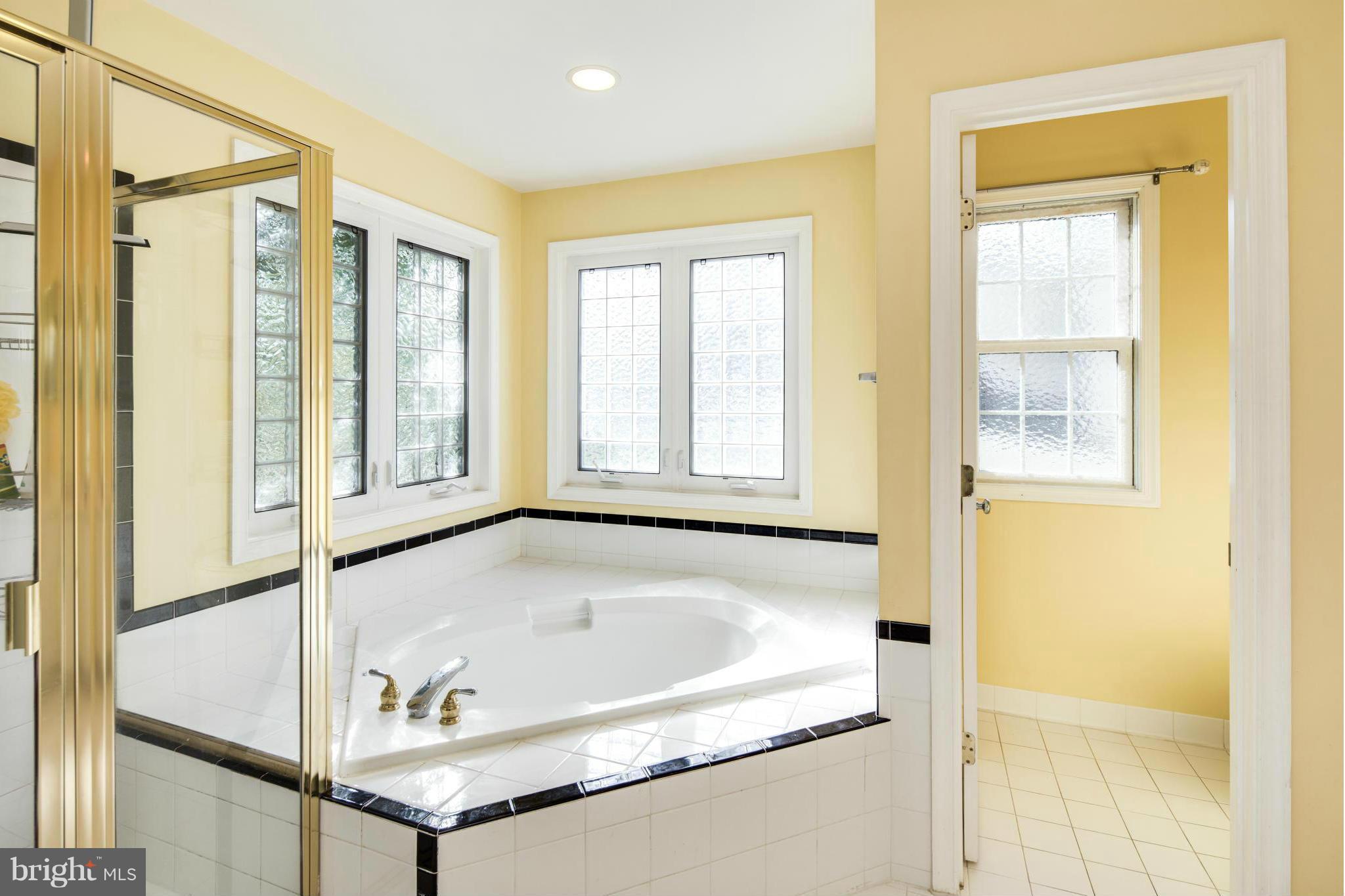 101 West George Mason Road Falls Church, VA 22046 - Photo 25 of 30 Magnificent Tub and Separate Shower Stall