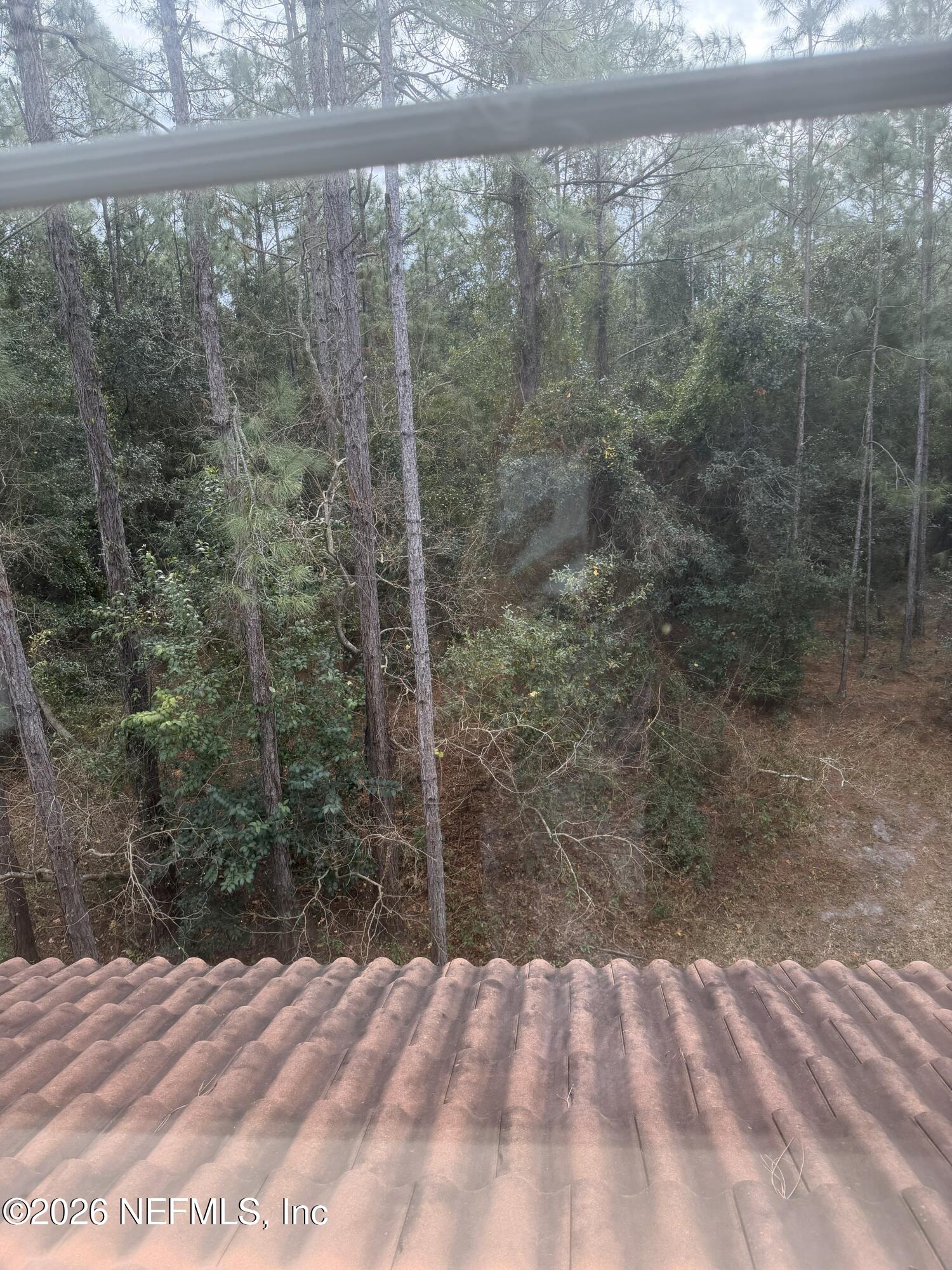 9745 Touchton Road, Unit 728 Jacksonville, FL 32246 - Photo 28 of 28 IMG_4059