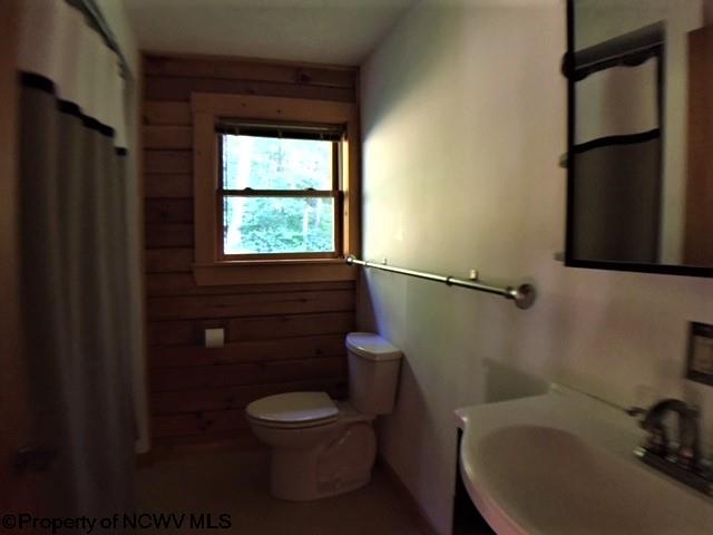 844 Hudson Road Albright, WV 26519 - Photo 6 of 20 Gallery Image 6