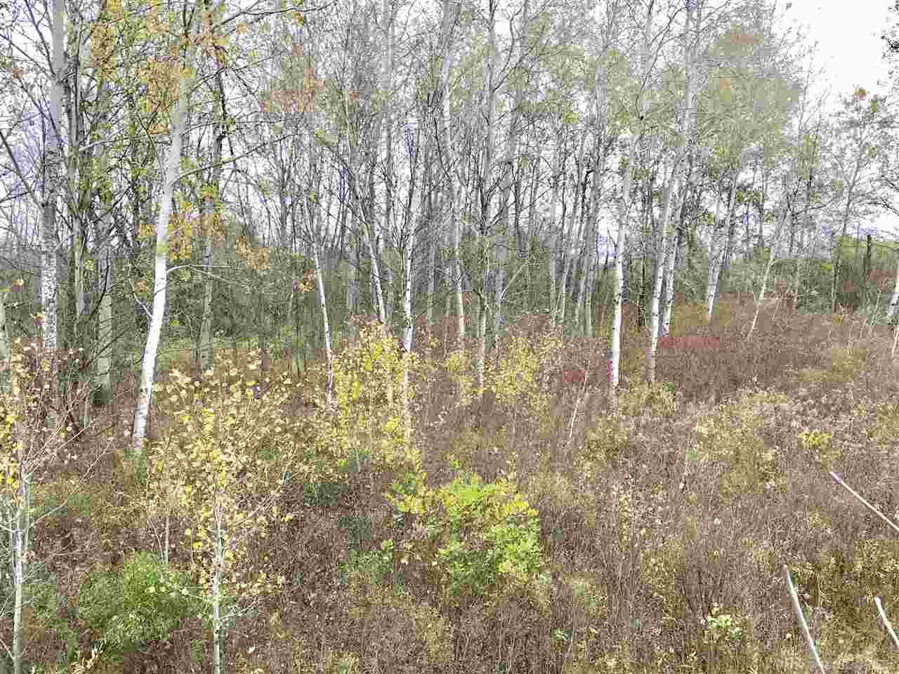 6610 Pringle Road Cass City, MI 48726 - Photo 8 of 24 Gallery Image 8