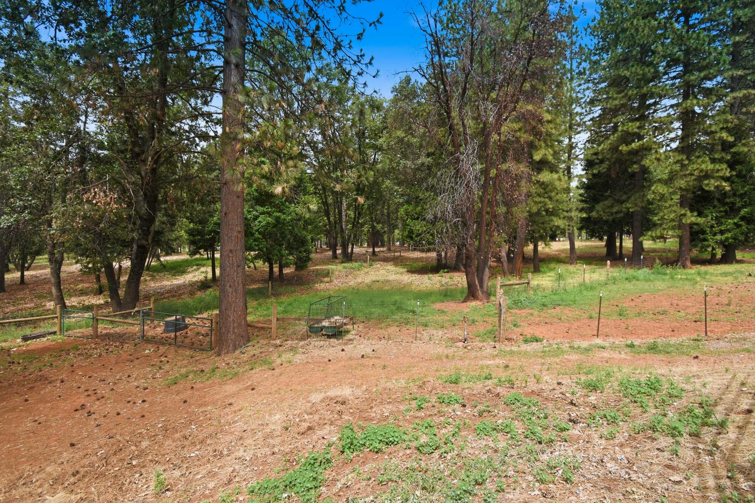 29070 Ridge View Road Foresthill, CA 95631 - Photo 55 of 66
