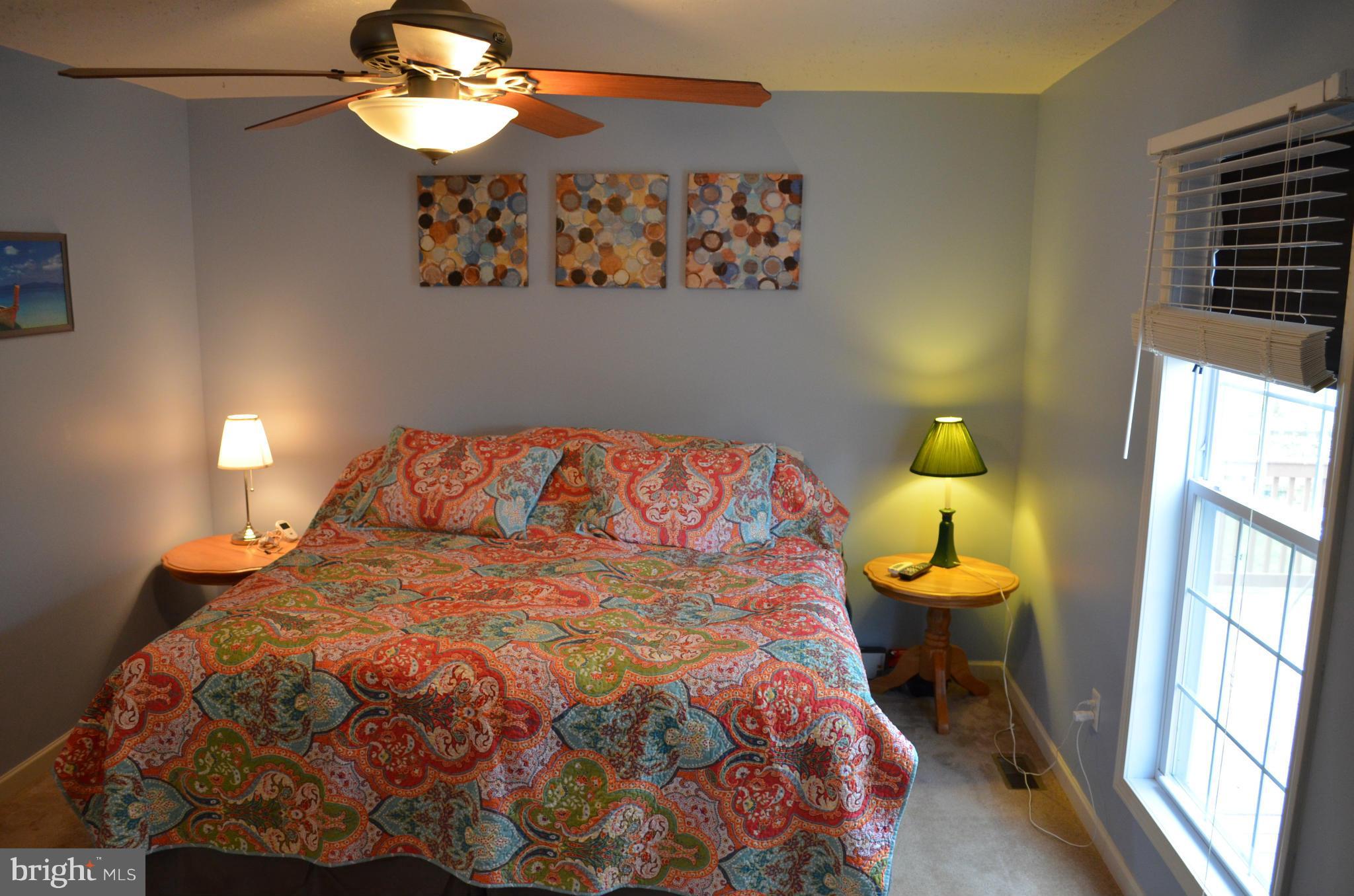7310 Old Dickersons Road Orange, VA 22960 - Photo 19 of 30 Bedroom (Master)
