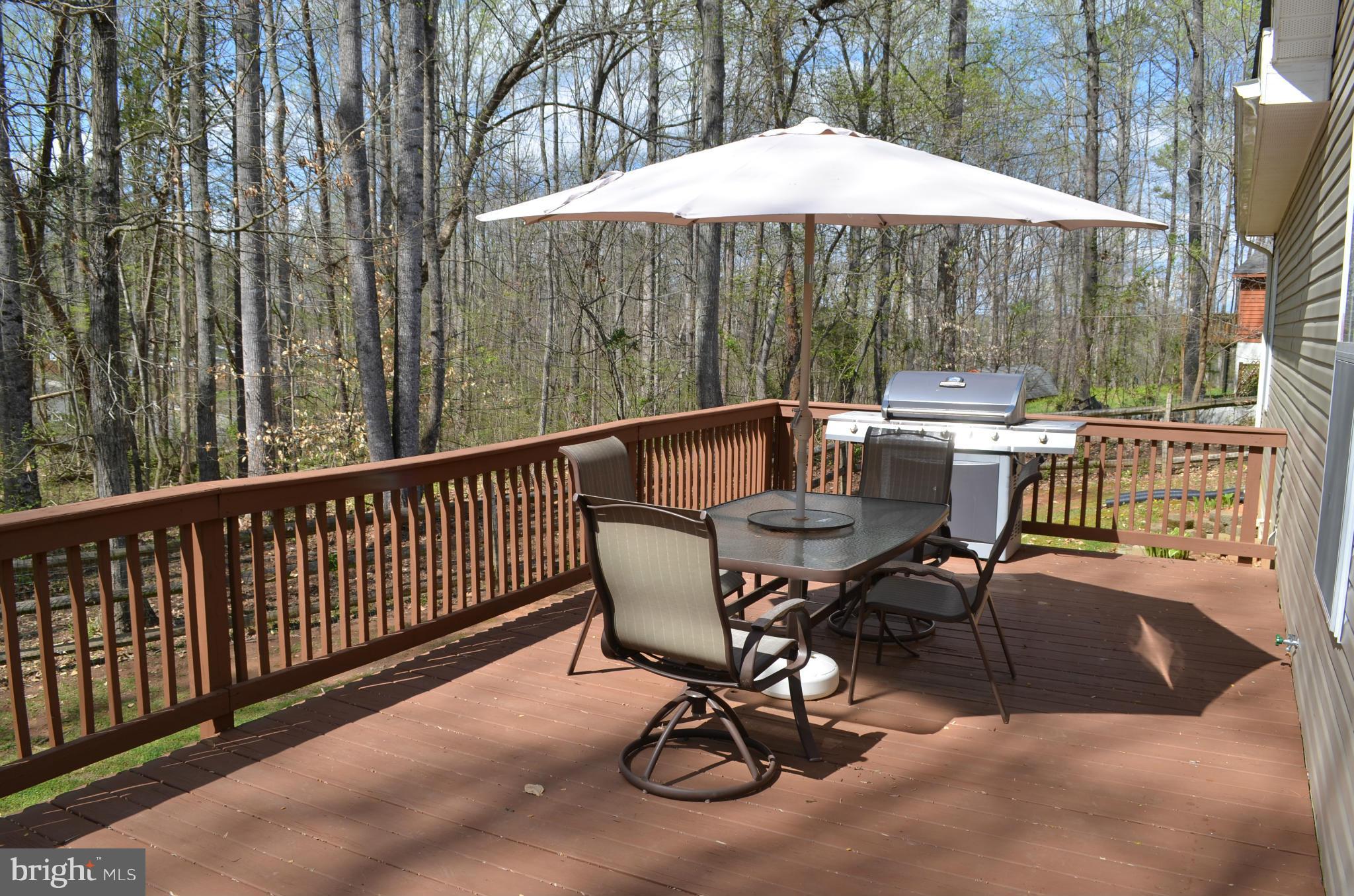 7310 Old Dickersons Road Orange, VA 22960 - Photo 26 of 30 Exterior (Rear)