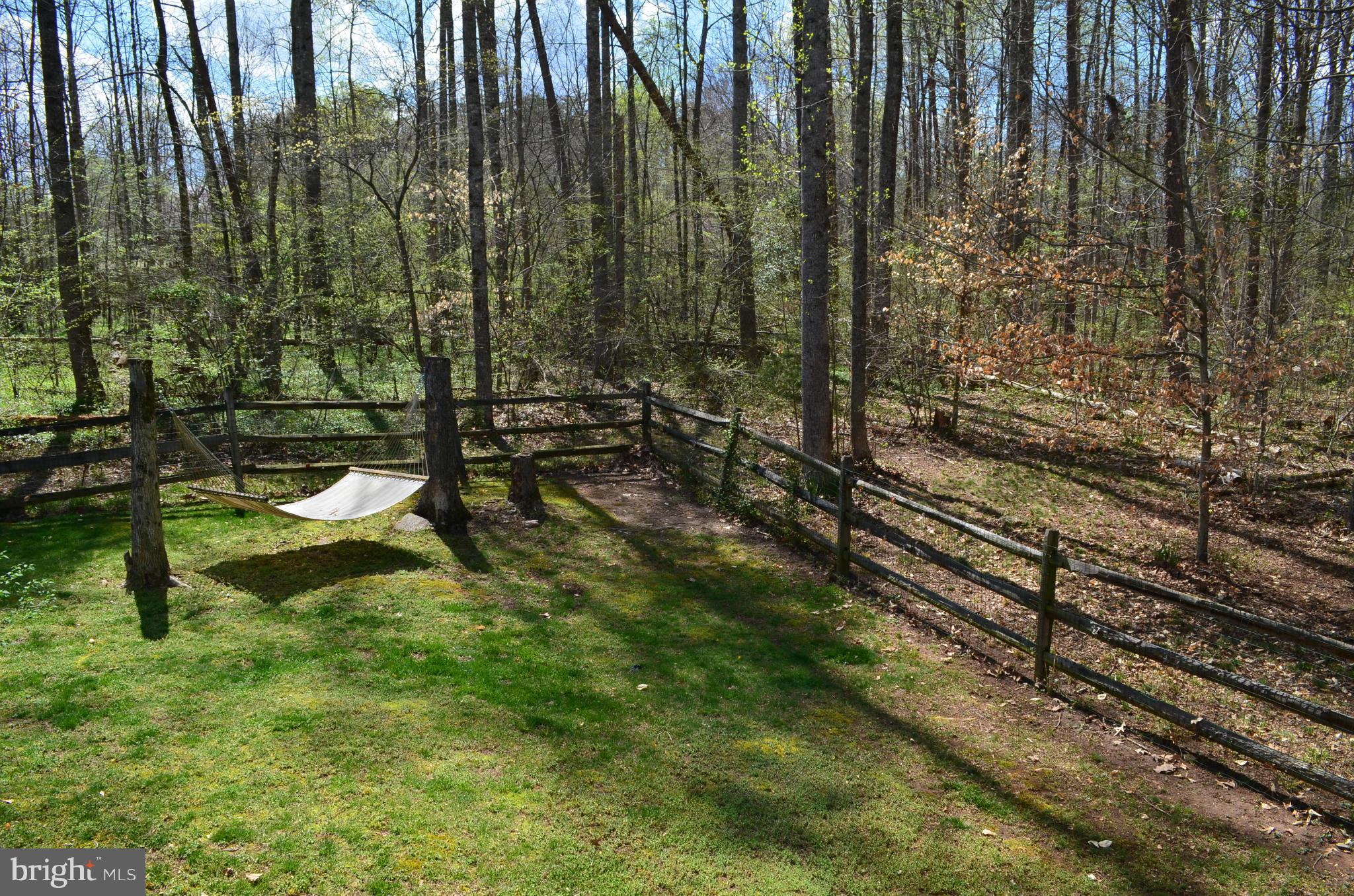 7310 Old Dickersons Road Orange, VA 22960 - Photo 27 of 30 Exterior (Rear)