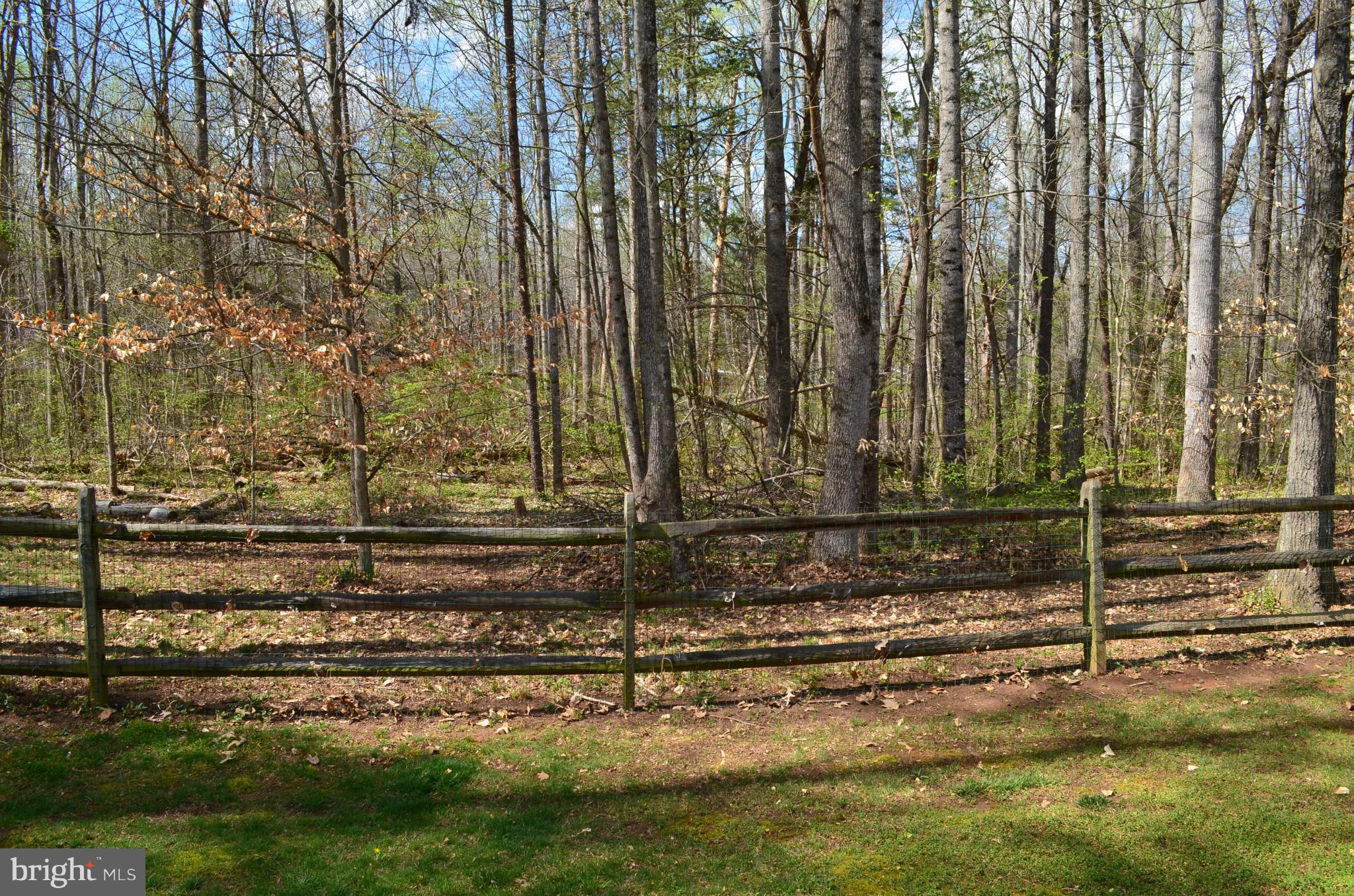 7310 Old Dickersons Road Orange, VA 22960 - Photo 29 of 30 Exterior (Rear)