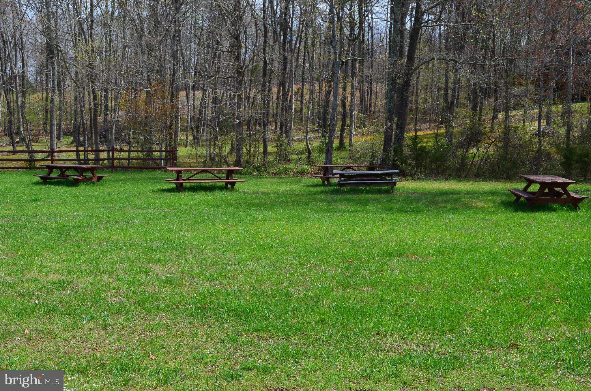 7310 Old Dickersons Road Orange, VA 22960 - Photo 8 of 30 Community