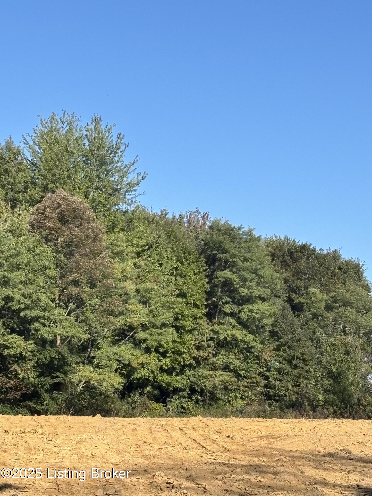 3352 Morton Ridge Road, Unit LOT 1B Bedford, KY 40006 - Photo 2 of 5 IMG_3709